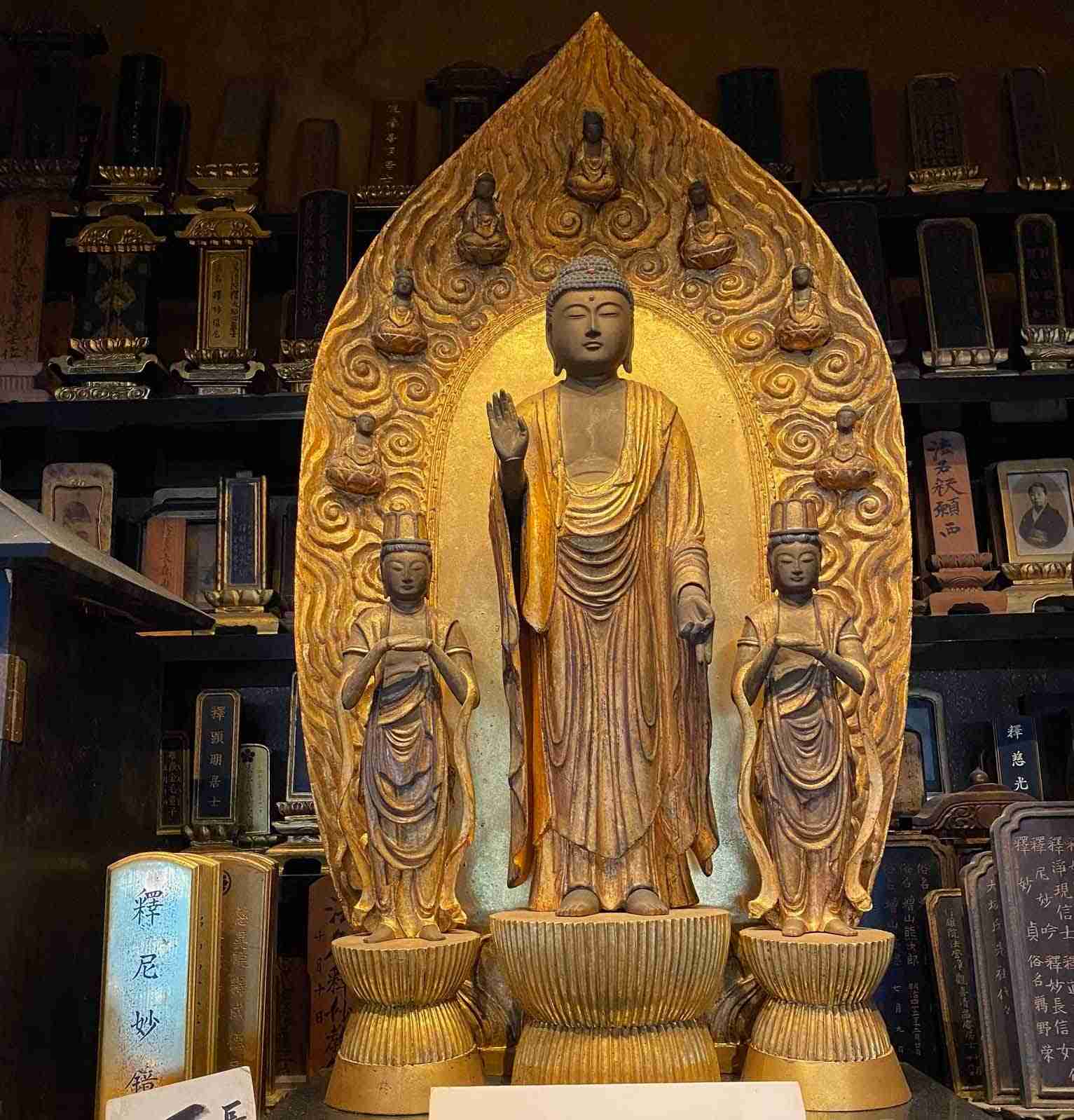 第８回口頭弁論が終わり、次回口頭弁論の予定が決まりました。 | 平山朝治のブログ