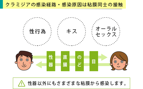 患者数日本一の性感染症「クラミジア」なぜ侮ってはいけないのか 性交1回の感染率は30~50%