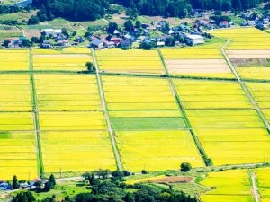 【都会】地主の嫁の話を聞きたい【田舎】