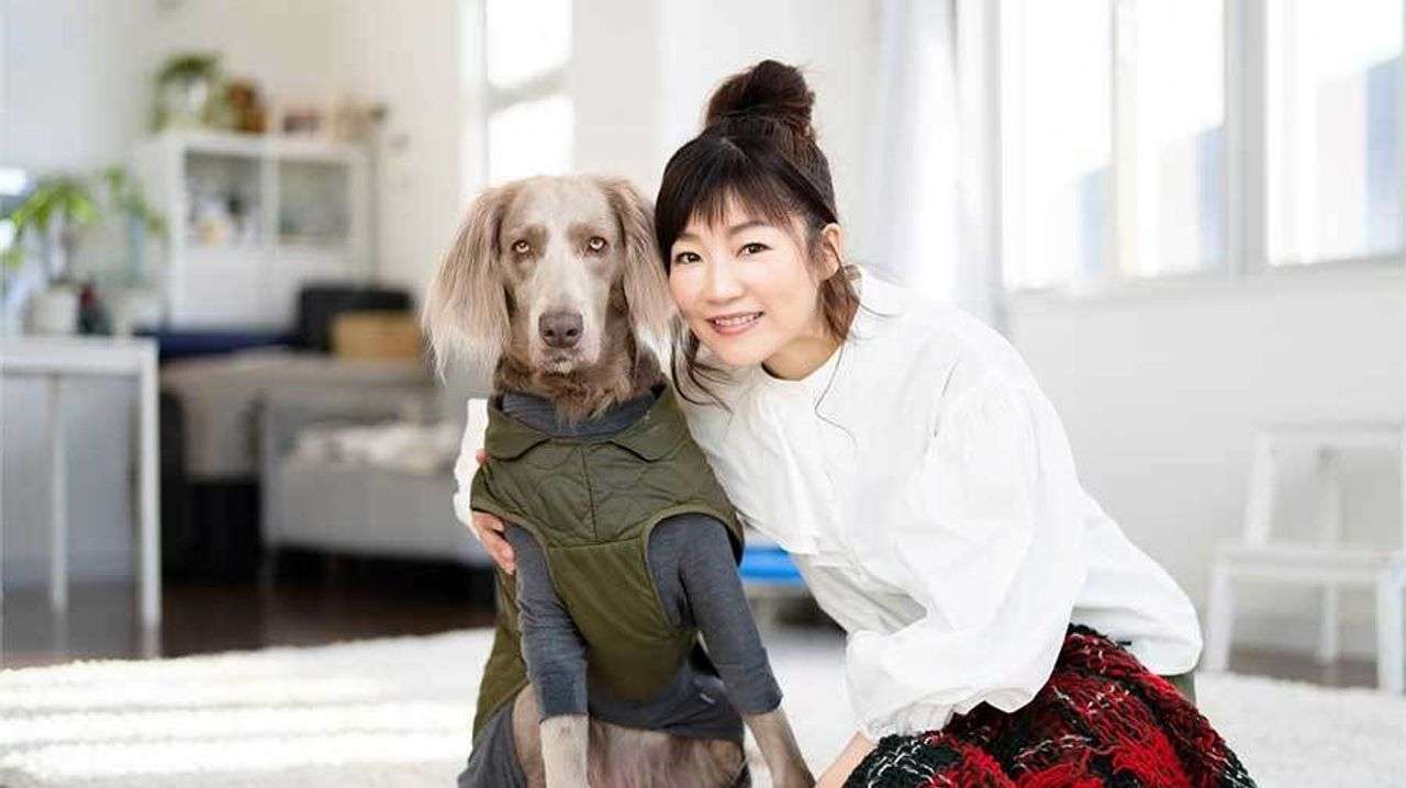芸能界引退20年 宮前真樹さんの今 - Yahoo!ニュース