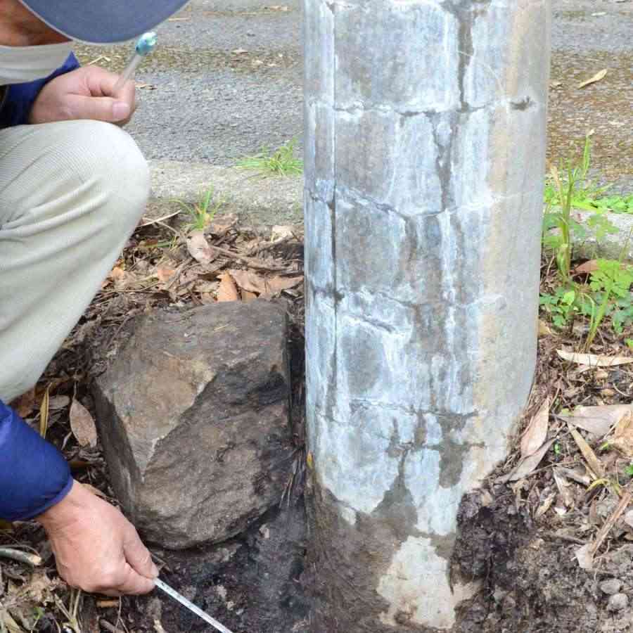電柱の根元から突然噴気　地中の温度90度超、草は枯れ雨水沸騰　温泉ソムリエも「？」　鹿児島市 | 鹿児島のニュース | 南日本新聞 | 373news.com