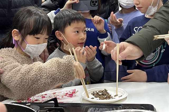 コオロギの油炒め「おいしい」　北秋田市の親子、昆虫食学ぶ｜秋田魁新報電子版