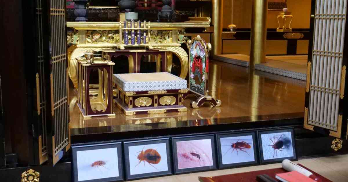 蚊やゴキブリの遺影を前にお焼香…アース製薬が“虫供養”を行うワケ「感謝と懺悔の気持ちと向き合う大切な日」 | ORICON NEWS