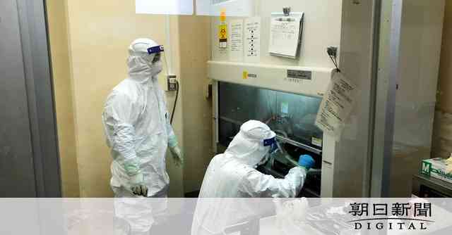 獣医師はネコを掘り出した　出血熱拡大、原因探る現場のジレンマ：朝日新聞デジタル