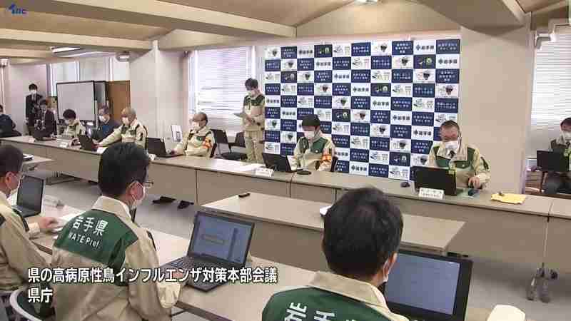 ひな300羽を殺処分　岩手・花巻市の農場　鳥インフル発生の茨城県の農場から購入（IBC岩手放送） - Yahoo!ニュース