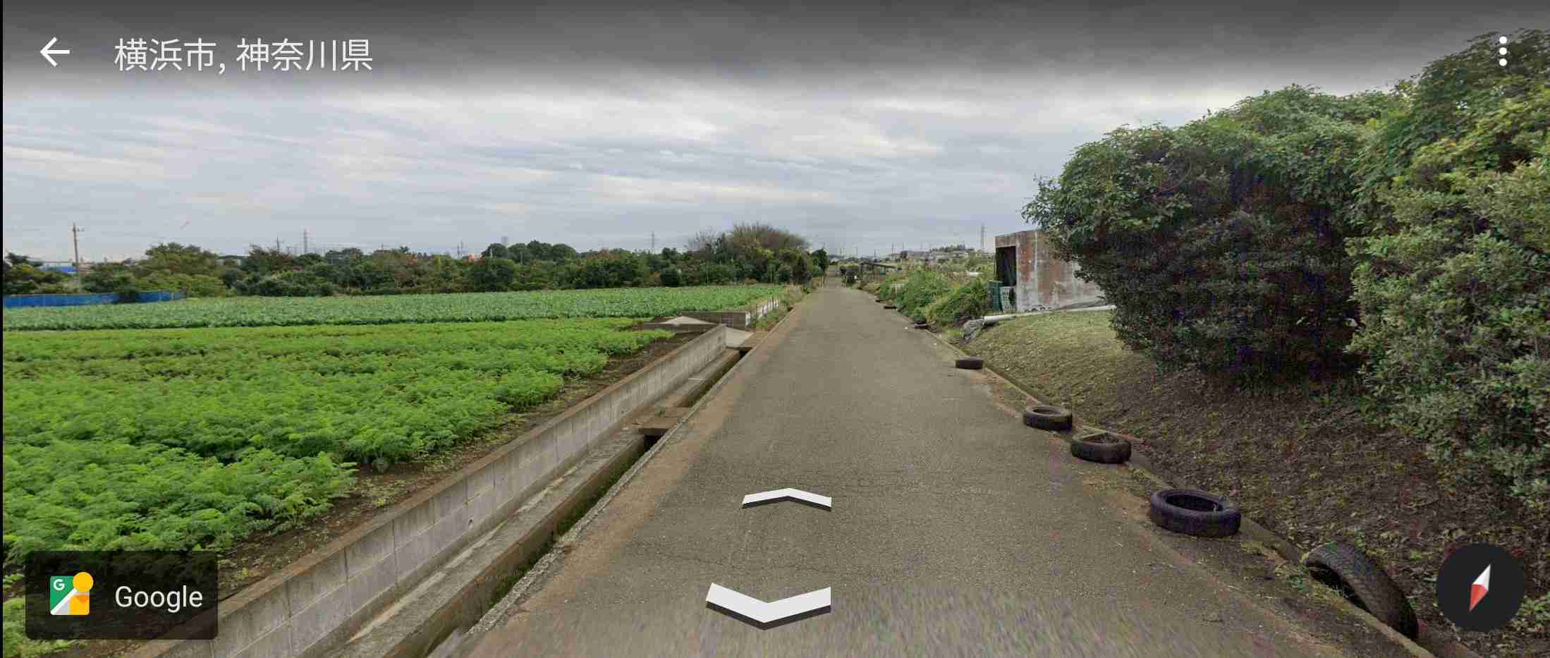 「東京での子育てに限界」に相次いだ異論　話題ツイートから考える「地方移住の理想と現実」