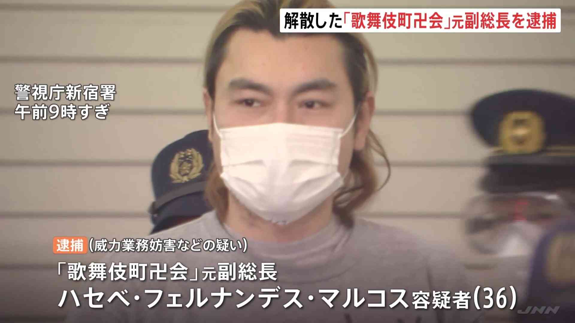 活動歴および当時の関連ビジュアル記録