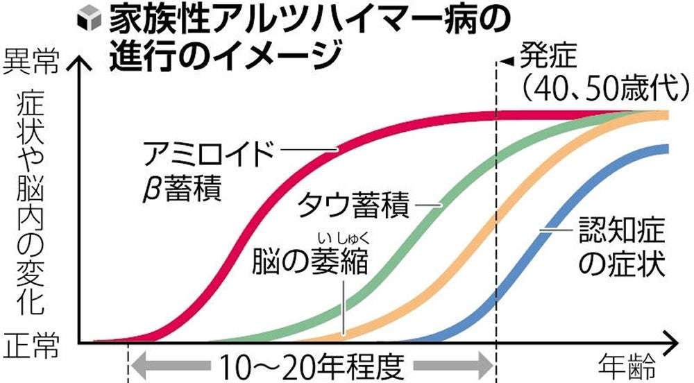 遺伝アルツハイマー病の薬物治療、年内にも新潟大・東大が治験…原因物質を除去