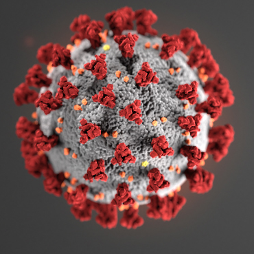 Repeat SARS-CoV-2 mRNA Vaccination Tied to Rise in Unexpected Antibody Subset | American Association for the Advancement of Science (AAAS)