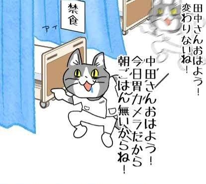 気が強くないとできない職業