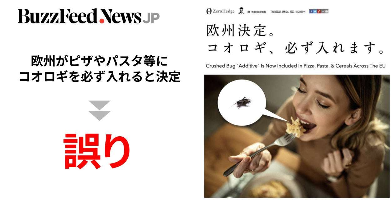 「欧州が粉砕したコオロギをピザ等に必ず入れると決定」拡散した情報は誤り。昆虫食をめぐって、EUの実際の動きは…