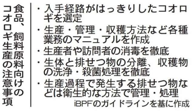 食品・飼料用コオロギに安全利用ルール　飼育環境、衛生管理で策定　民間団体 / 日本農業新聞
