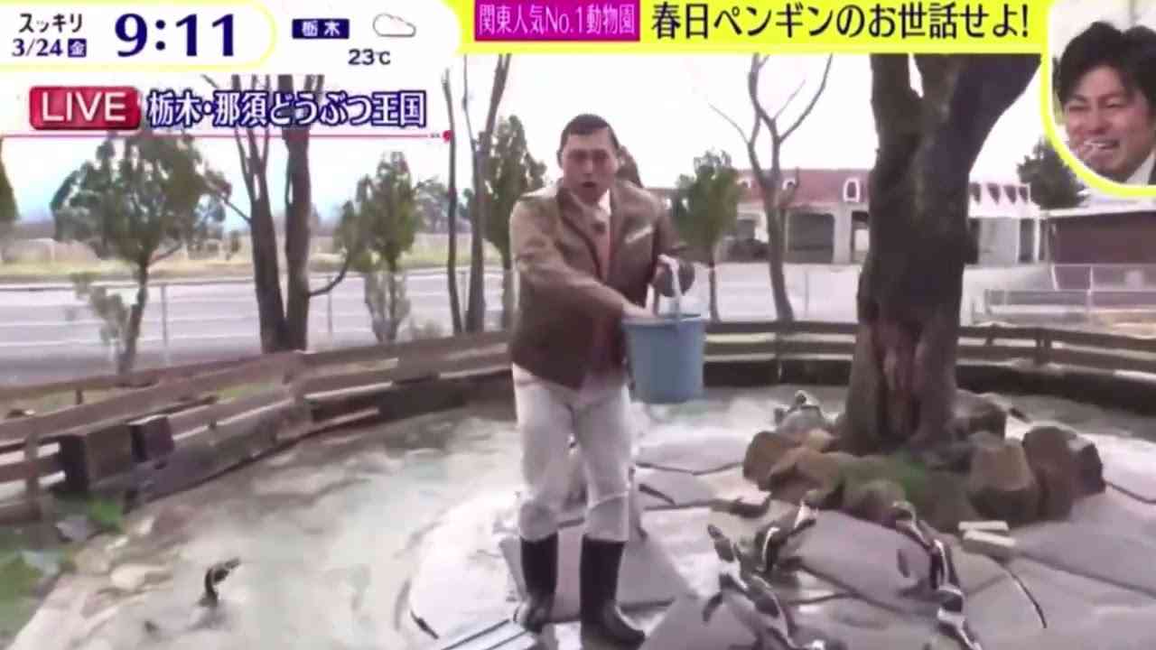 オードリー春日 ペンギン餌やりフルバージョン - YouTube
