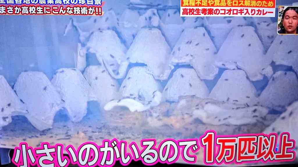 敷島製パン、コオロギ商品めぐり対応苦慮　デマや陰謀論も拡散...提携企業は法的措置を検討
