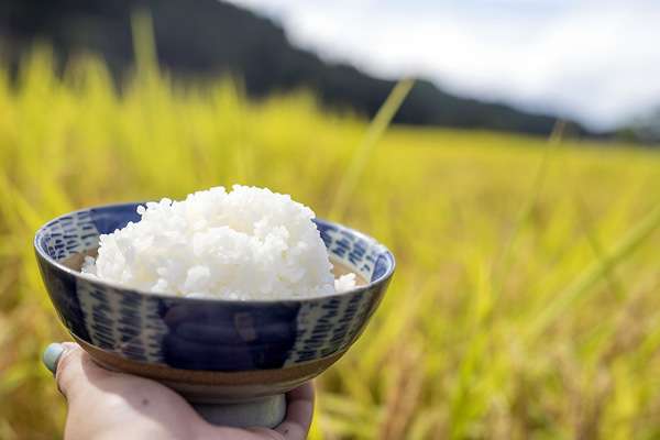 日本人がコメを食べられなくなる日が現実に…個人経営の農家は大赤字で離農加速の深刻｜日刊ゲンダイDIGITAL