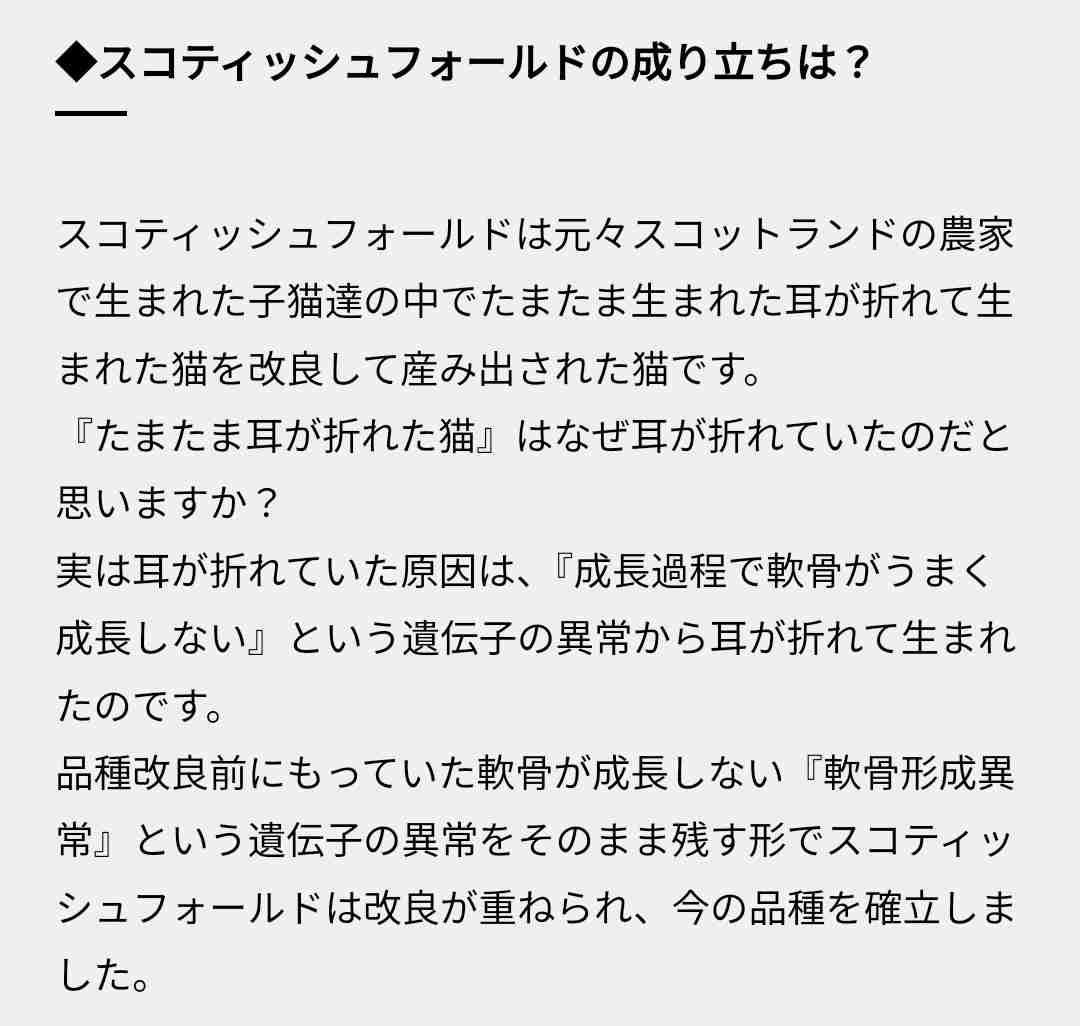 指原プロデュースアイドル、飼い猫投げる叩くで大炎上「おもちゃ扱い」「ぞっとした」ドン引きの中擁護の声も