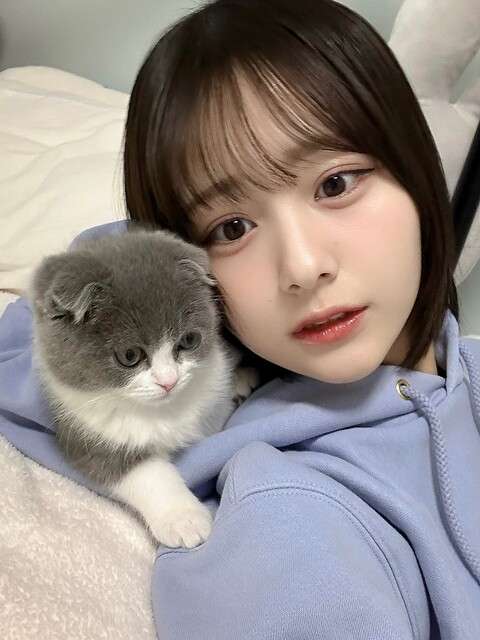 尾木波菜の猫を虐待疑惑の動画！指原莉乃プロデュースの≠ME(ノットイコールミー)のメンバー  |  おひまねた