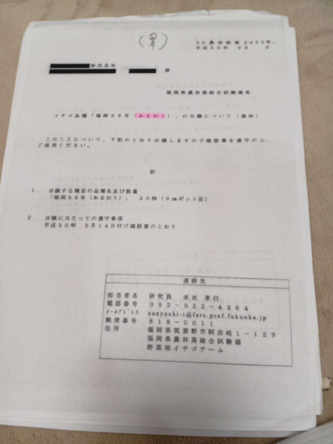 種苗にとって恐れていたことが始まりました。現状のお話とこれから私たちができるについて | 山田正彦 オフィシャルブログ Powered by Ameba