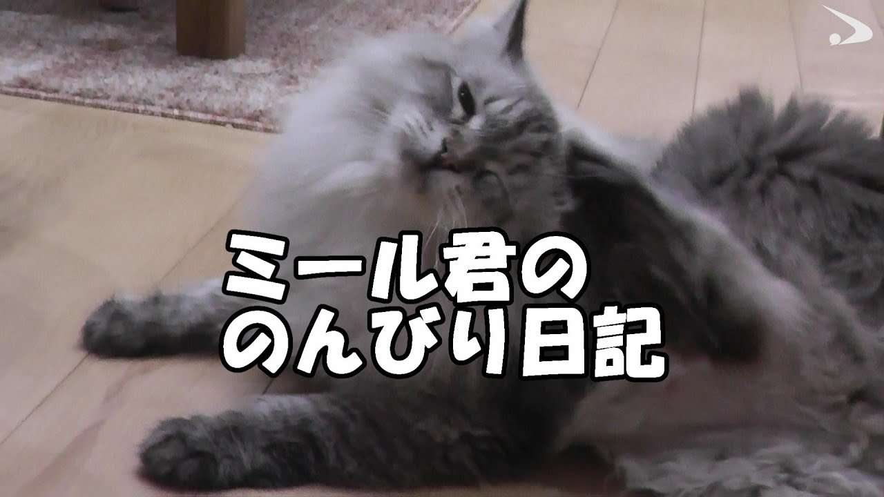 ミール君ののんびり日記