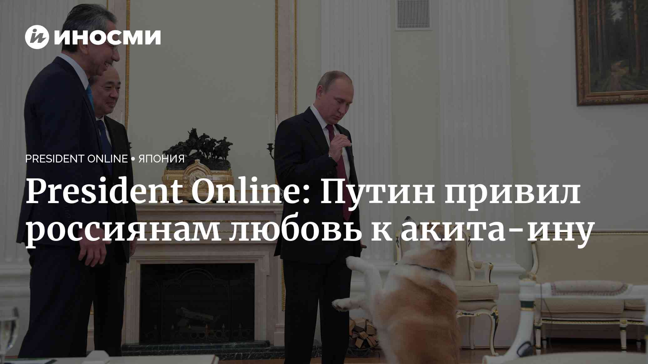 President Online (Япония): популярность породы собак акита-ину пошла в России от Путина | 07.10.2022, ИноСМИ