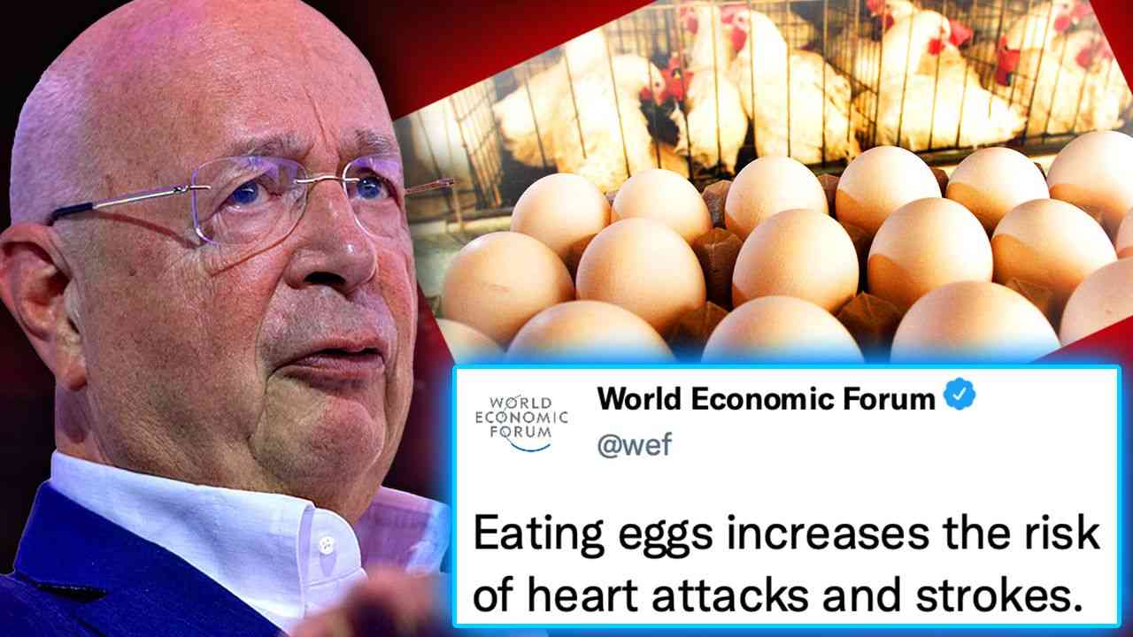 WEF Vows to BAN 'Dangerous' Eggs After Study Finds They Cure COVID Naturally - News Punch