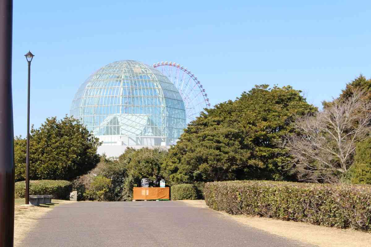 地元住民の怒り爆発、葛西臨海水族園建て替え計画　樹木伐採して太陽光パネル設置「自然を壊して…の風潮に猛烈な違和感」加藤康子氏（夕刊フジ） - Yahoo!ニュース