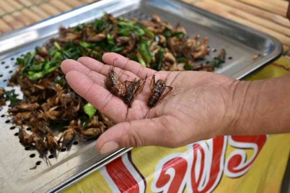 食用コオロギ　夢のドル箱　タイ政府、世界市場に照準　繁殖容易、期待の新産業｜【西日本新聞me】
