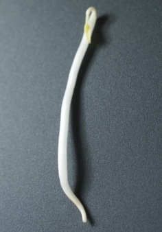 そっくりさんでなにわ男子を完成させよう