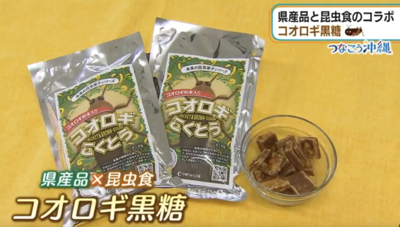 【琉球黒糖株式会社】コオロギ粉末の入った『コオロギ黒糖』を製造していたことが判明し、批判殺到　謝罪に追い込まれる  |  RAPT理論+α