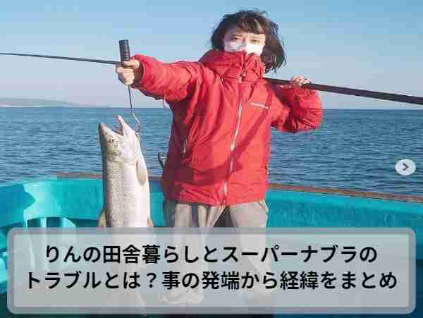 りんの田舎暮らしとスーパーナブラのトラブルとは？事の発端から経緯をまとめ | アサキ