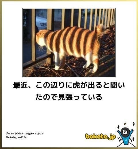 boketeで1000コメ以上を目指そう〜 part7〜