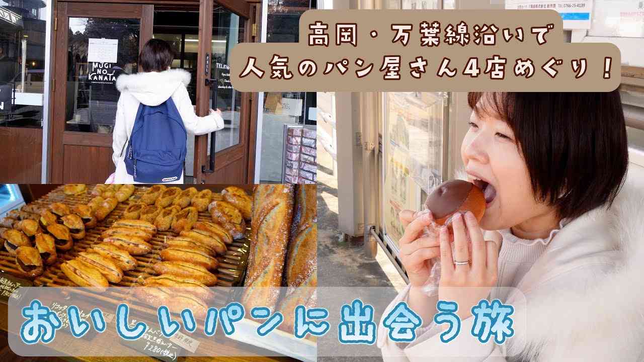【やってみたかった】お得な1日乗車券だからこそできる！○○だけを求めて巡る高岡の電車旅【富山パン／マイルート富山】 - YouTube