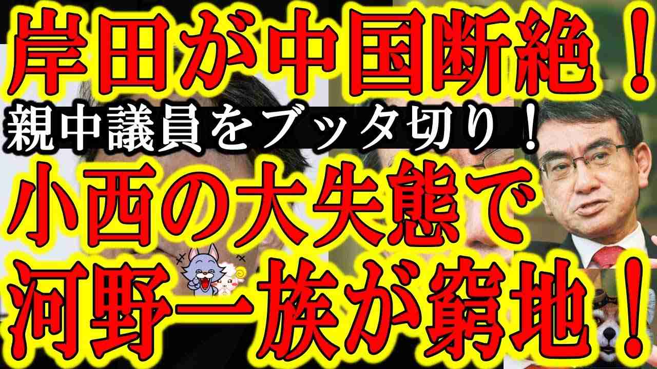 【小西洋之の大失態で河野太郎が大窮地！岸田総理が親中議員ブッタ切りの大ニュースと相まって大事件に発展じゃぁ！】中国大使の面会要請を蹴っ飛ばした岸田は最高じゃぁ！しかも麻布食品問題で親中議員グループが炙 - YouTube