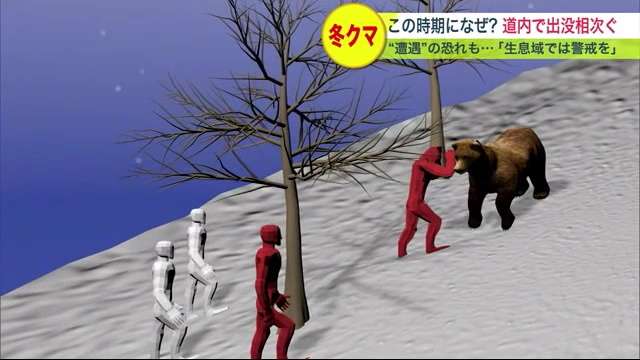 冬眠しない？北海道で冬グマ出没相次ぐ 「わずかな刺激で目覚める恐れも」【北海道発】
