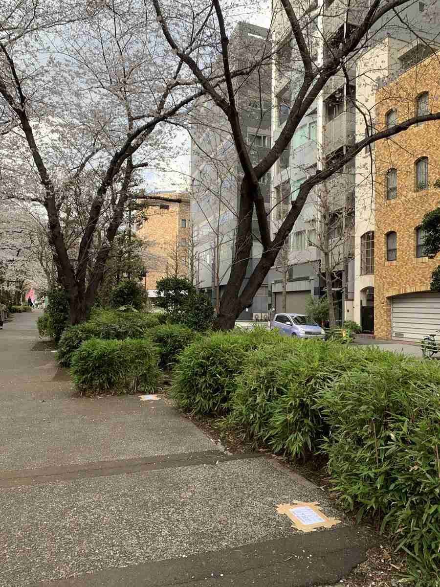 花見の名所で1週間前から「場所取り」...大手企業に批判　広報が事実認め謝罪「配慮に欠けた」