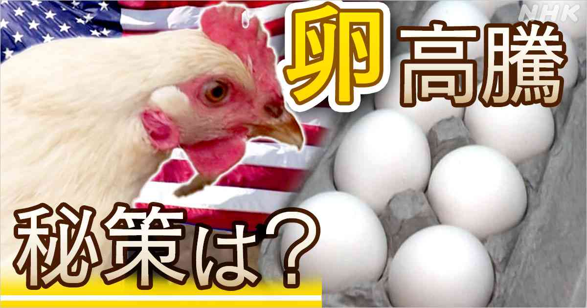 卵の価格高騰 アメリカでニワトリを自宅で飼う人続出？ | NHK