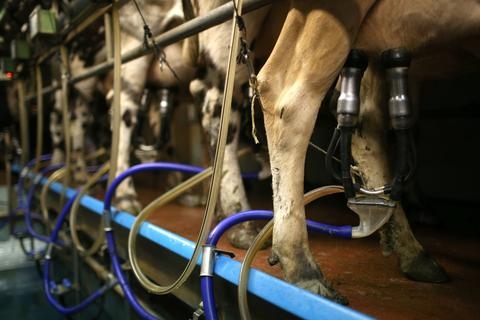 わずか数年で、牛乳が不足から過剰になった仕組み　〜行き当たりばったりの政策 時代遅れになった過去の成功体験～ | キヤノングローバル戦略研究所