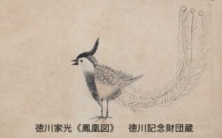 【画像】日本画を集めよう
