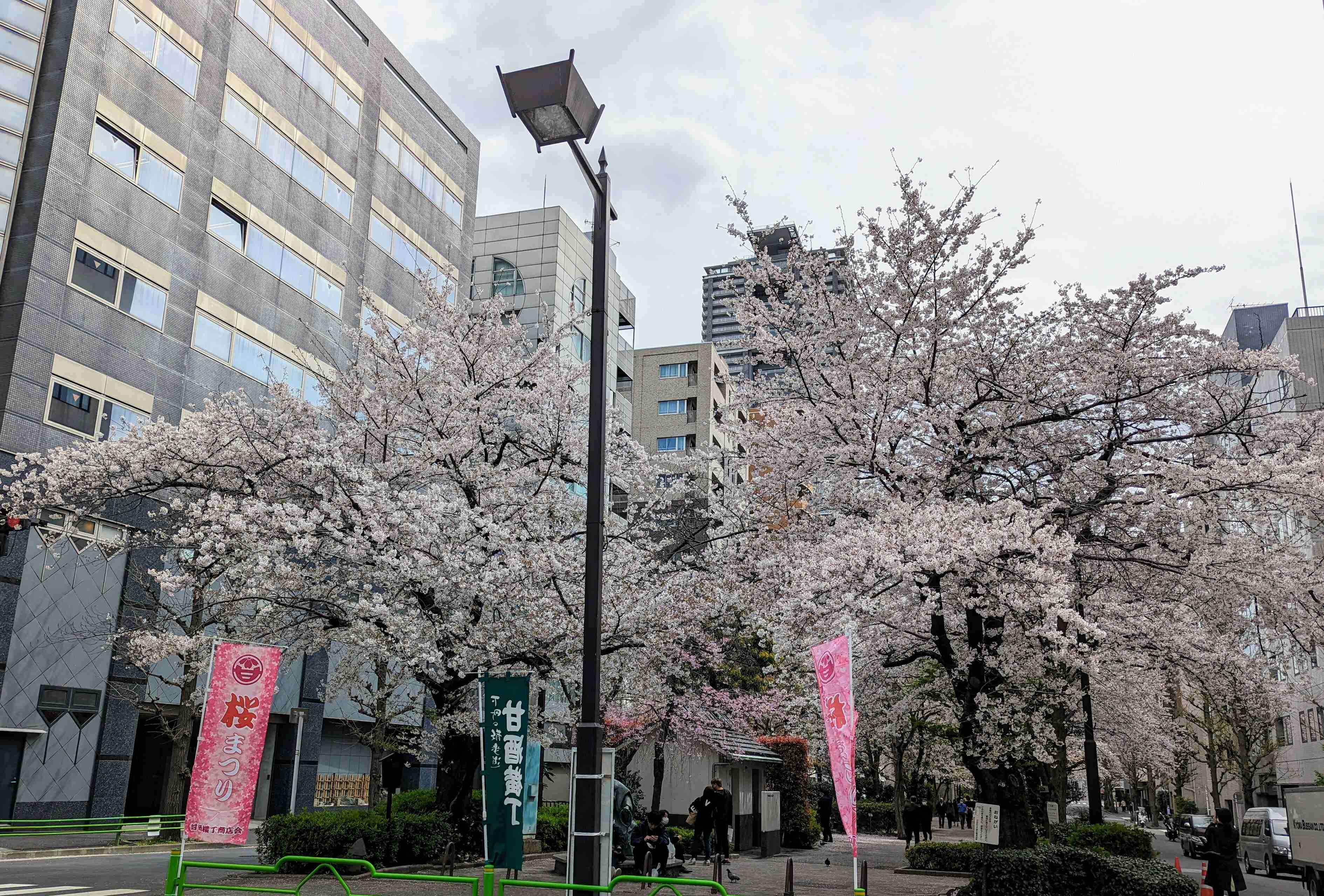 花見の名所で1週間前から「場所取り」...大手企業に批判　広報が事実認め謝罪「配慮に欠けた」: J-CAST ニュース
