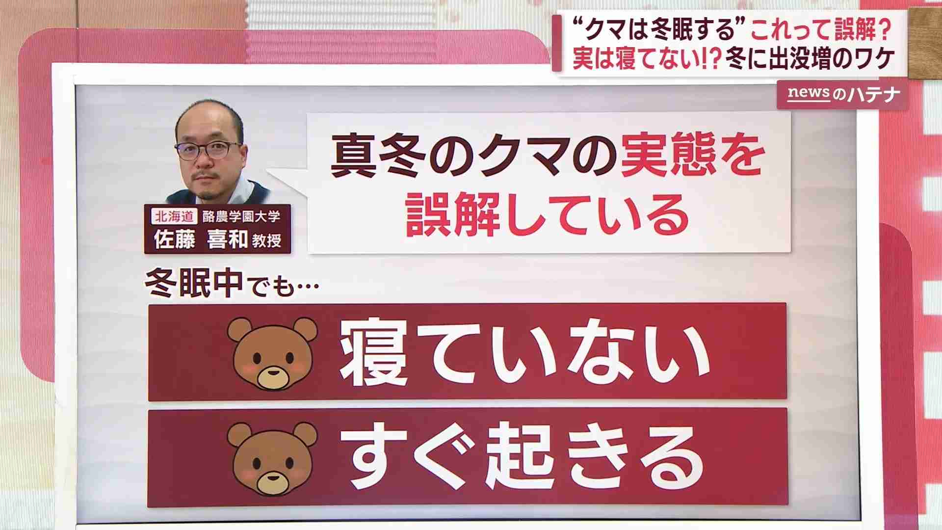 冬眠しない？北海道で冬グマ出没相次ぐ 「わずかな刺激で目覚める恐れも」【北海道発】