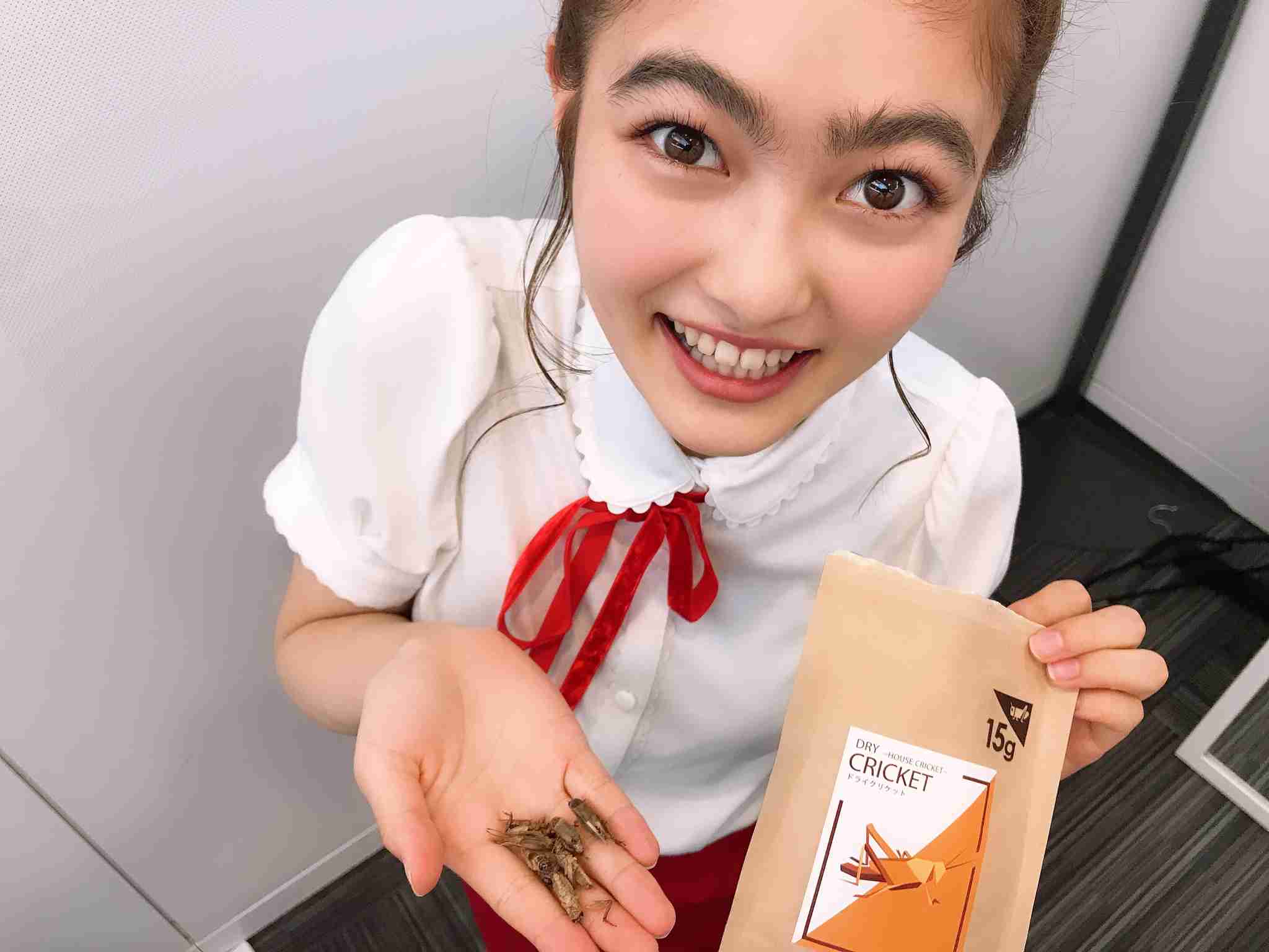 加藤浩次“コオロギ粉末料理”炎上に「正直苦情を言う人の気持ちが…全員に強制したのだったらわかる」