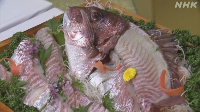 昆虫含むエサでマダイの養殖成功 来月から出荷へ 愛媛大学など | NHK | 愛媛県