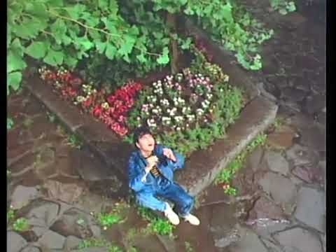 岡村靖幸 Dog Days pv - YouTube