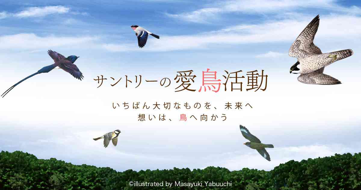 キジ｜日本の鳥百科｜サントリーの愛鳥活動