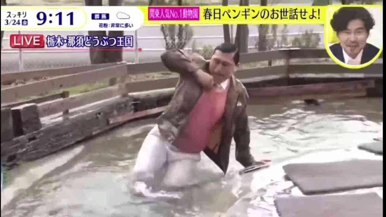 オードリー春日スッキリでのペンギンの餌やりで池に落下危ない行動　那須どうぶつ王国 - YouTube