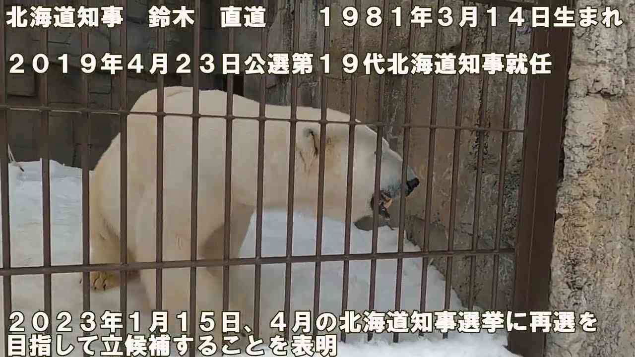 【道知事】将棋始めました。19日目　北海道知事の審査・整理　サニージャーニーinフェイクニュース　すい腺房細胞がんステージ4(詐病) - YouTube