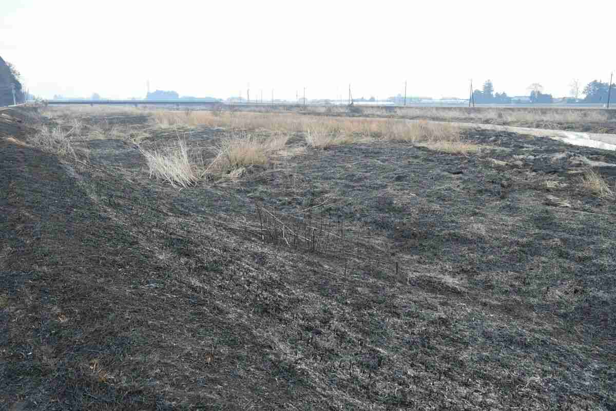 河川敷に男性遺体　塩谷、野焼きに巻き込まれたか｜事件事故,県内主要,速報｜下野新聞「SOON」ニュース｜下野新聞 SOON(スーン)