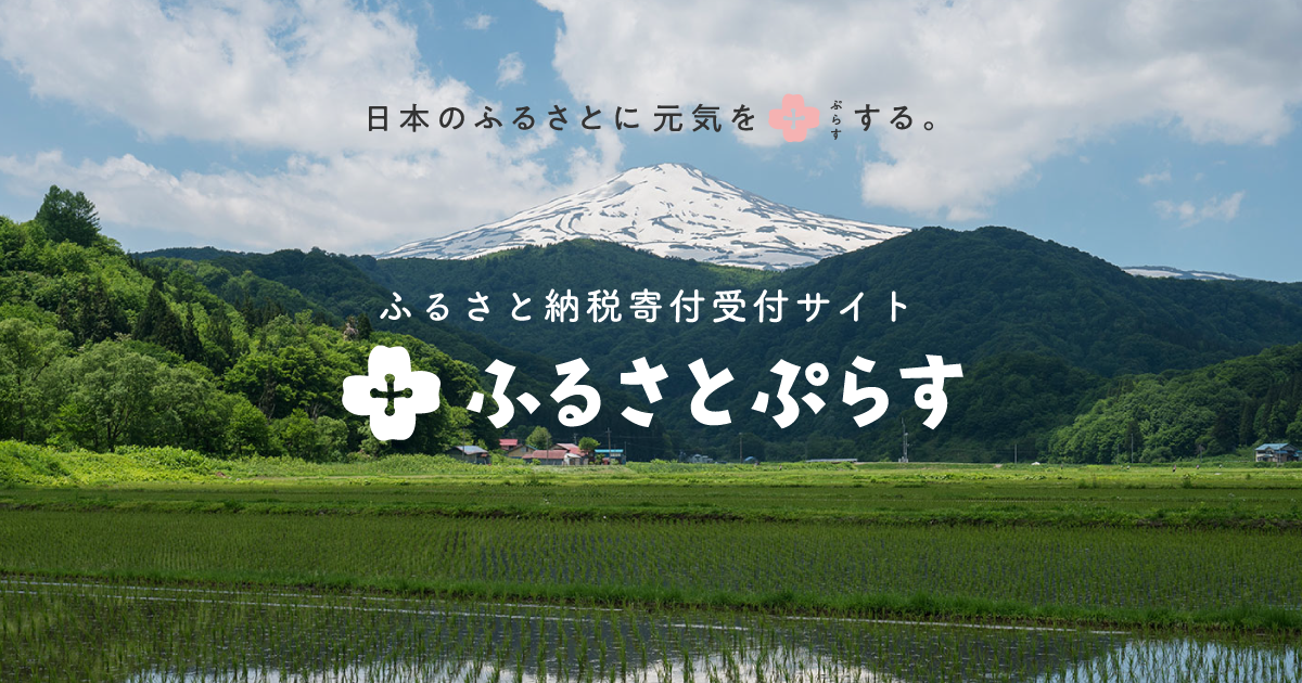 住宅ローン減税とふるさと納税を使いたい方必見！併用の影響を検証 - ふるさと納税の「ふるさとぷらす」