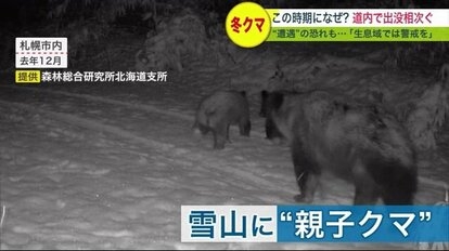 冬眠しない？北海道で冬グマ出没相次ぐ 「わずかな刺激で目覚める恐れも」【北海道発】