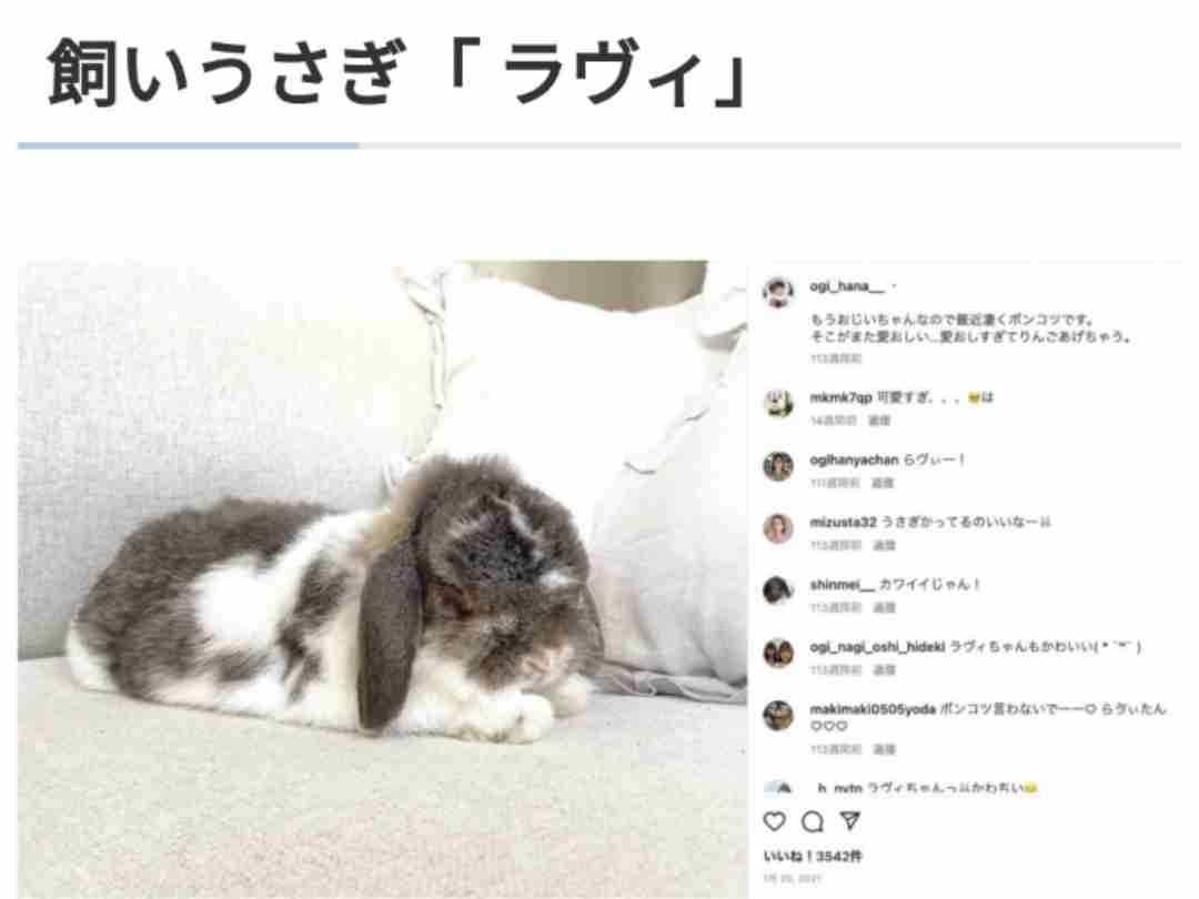 指原プロデュースアイドル、飼い猫投げる叩くで大炎上「おもちゃ扱い」「ぞっとした」ドン引きの中擁護の声も